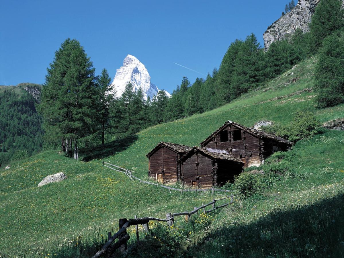 Apartment Armina By Interhome Zermatt Eksteriør billede